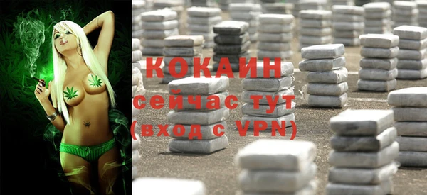 мдпв Волоколамск